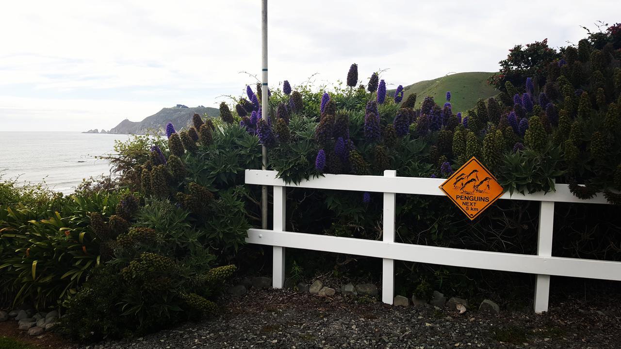 Kaka Point Spa Accommodation - Catlins Exterior foto